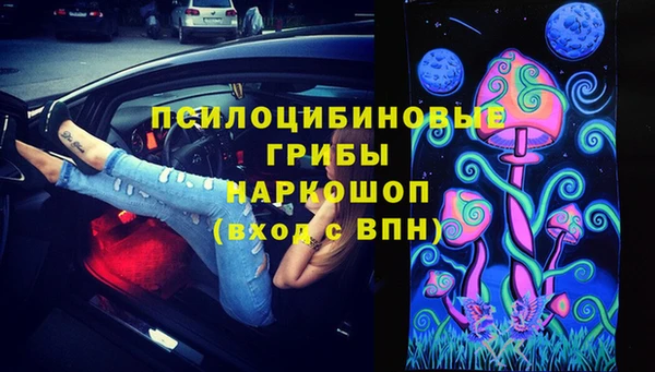 стафф Бородино