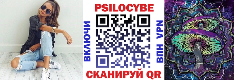 блэк спрут зеркало  закладки  Кизел  Галлюциногенные грибы мицелий 